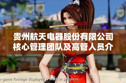 贵州航天电器股份有限公司核心管理团队及高管人员介绍