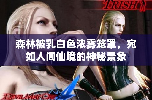森林被乳白色浓雾笼罩，宛如人间仙境的神秘景象