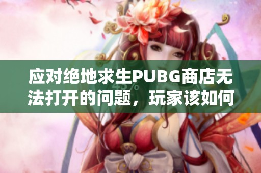应对绝地求生PUBG商店无法打开的问题，玩家该如何解决？