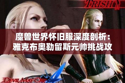 魔兽世界怀旧服深度剖析：雅克布奥勒留斯元帅挑战攻略与战斗技巧分享