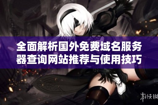 全面解析国外免费域名服务器查询网站推荐与使用技巧