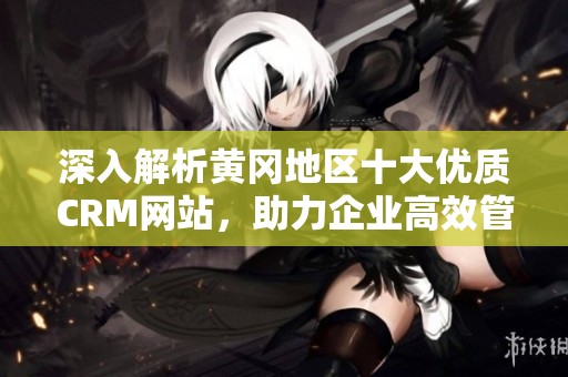 深入解析黄冈地区十大优质CRM网站，助力企业高效管理客户关系
