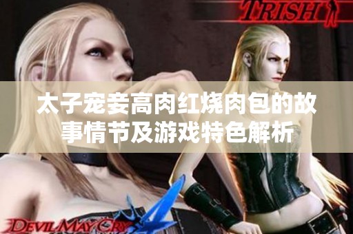 太子宠妾高肉红烧肉包的故事情节及游戏特色解析