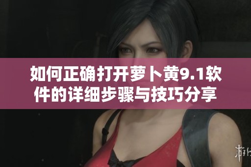 如何正确打开萝卜黄9.1软件的详细步骤与技巧分享