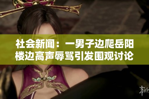 社会新闻：一男子边爬岳阳楼边高声辱骂引发围观讨论