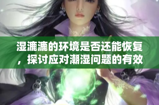 湿漉漉的环境是否还能恢复，探讨应对潮湿问题的有效措施与建议