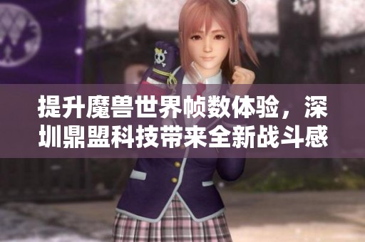 提升魔兽世界帧数体验，深圳鼎盟科技带来全新战斗感受