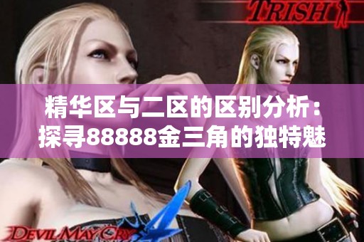 精华区与二区的区别分析：探寻88888金三角的独特魅力与特征