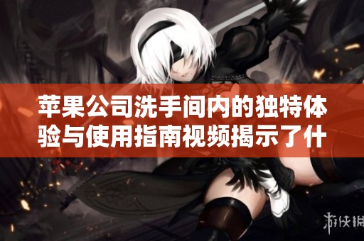 苹果公司洗手间内的独特体验与使用指南视频揭示了什么样的秘密