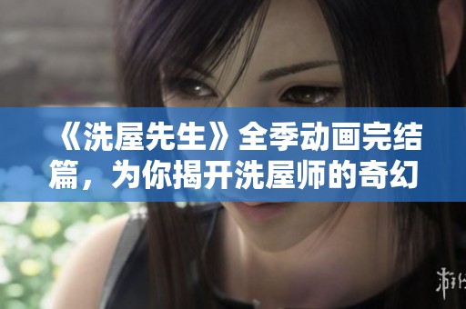 《洗屋先生》全季动画完结篇，为你揭开洗屋师的奇幻冒险之旅