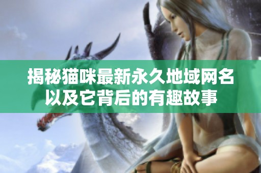 揭秘猫咪最新永久地域网名以及它背后的有趣故事