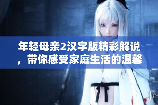 年轻母亲2汉字版精彩解说，带你感受家庭生活的温馨与挑战
