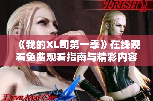 《我的XL司第一季》在线观看免费观看指南与精彩内容解析