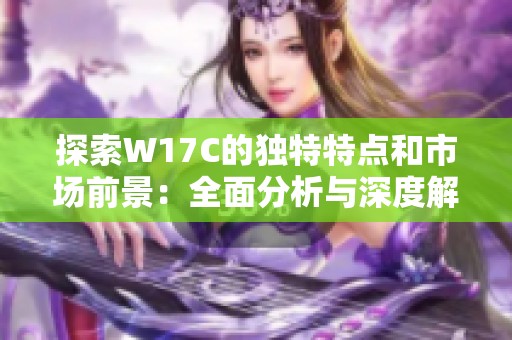 探索W17C的独特特点和市场前景：全面分析与深度解读