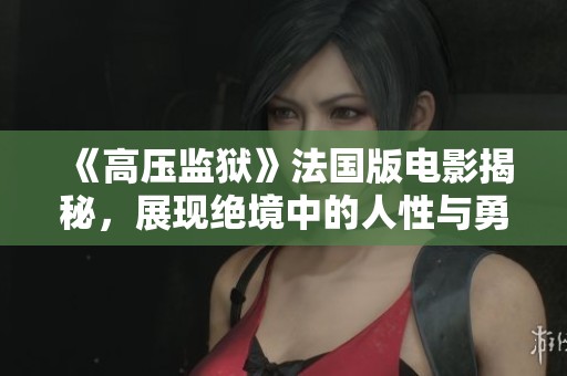 《高压监狱》法国版电影揭秘，展现绝境中的人性与勇气的故事
