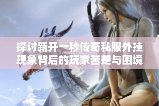 探讨新开一秒传奇私服外挂现象背后的玩家苦楚与困境