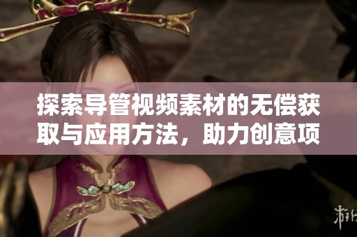 探索导管视频素材的无偿获取与应用方法，助力创意项目的发展与完善