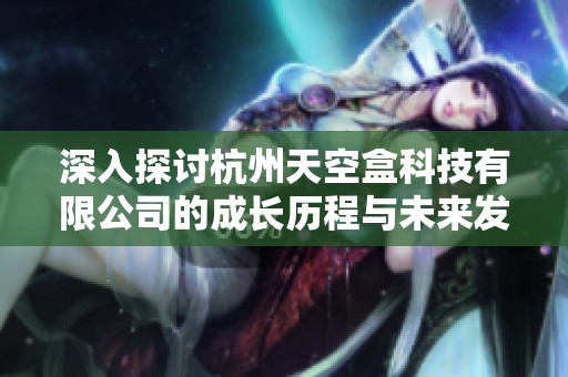 深入探讨杭州天空盒科技有限公司的成长历程与未来发展潜力