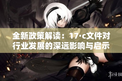 全新政策解读：17·c文件对行业发展的深远影响与启示分析