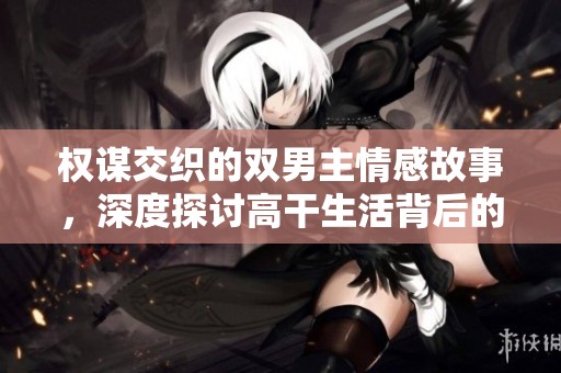 权谋交织的双男主情感故事，深度探讨高干生活背后的秘密与纠葛