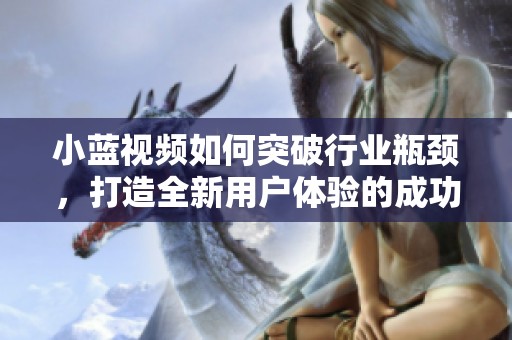 小蓝视频如何突破行业瓶颈，打造全新用户体验的成功之路