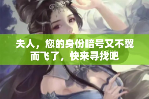 夫人，您的身份暗号又不翼而飞了，快来寻找吧