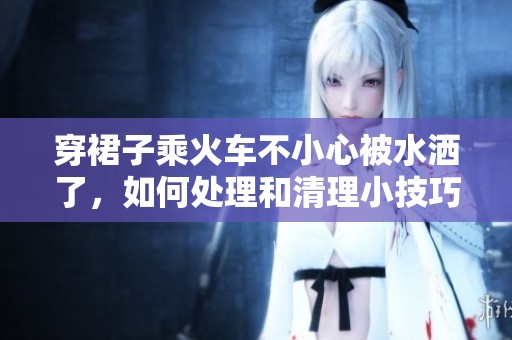 穿裙子乘火车不小心被水洒了，如何处理和清理小技巧分享