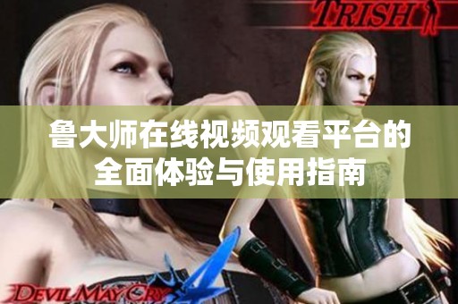 鲁大师在线视频观看平台的全面体验与使用指南