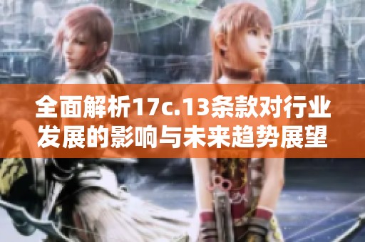 全面解析17c.13条款对行业发展的影响与未来趋势展望