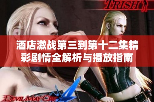 酒店激战第三到第十二集精彩剧情全解析与播放指南