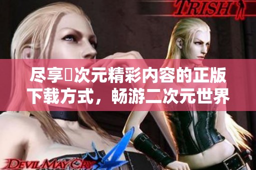尽享囧次元精彩内容的正版下载方式，畅游二次元世界