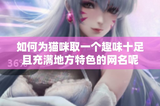 如何为猫咪取一个趣味十足且充满地方特色的网名呢