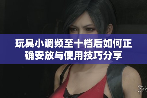 玩具小调频至十档后如何正确安放与使用技巧分享