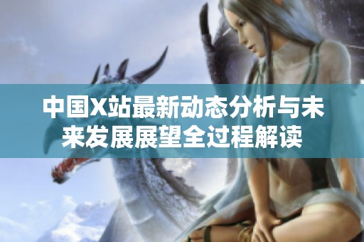 中国X站最新动态分析与未来发展展望全过程解读