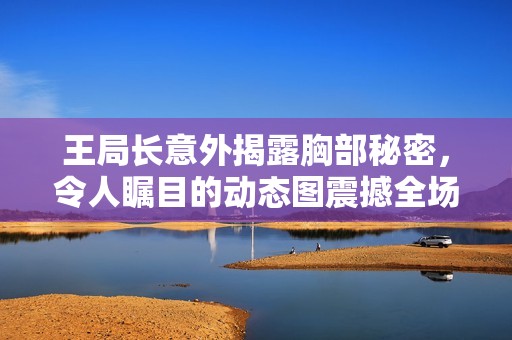 王局长意外揭露胸部秘密，令人瞩目的动态图震撼全场