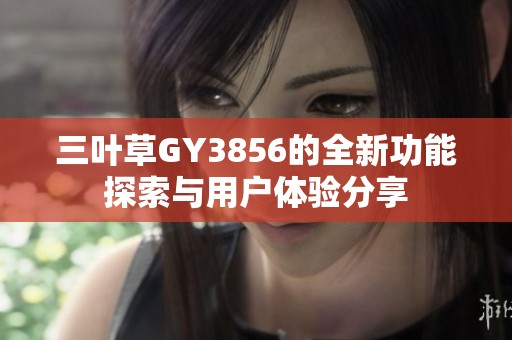 三叶草GY3856的全新功能探索与用户体验分享