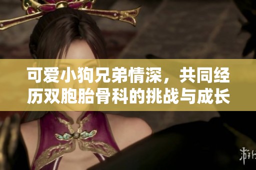可爱小狗兄弟情深，共同经历双胞胎骨科的挑战与成长