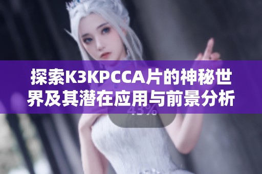 探索K3KPCCA片的神秘世界及其潜在应用与前景分析