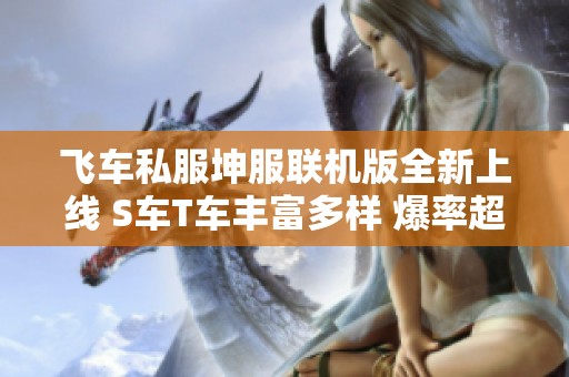 飞车私服坤服联机版全新上线 S车T车丰富多样 爆率超高畅享稳定游戏体验