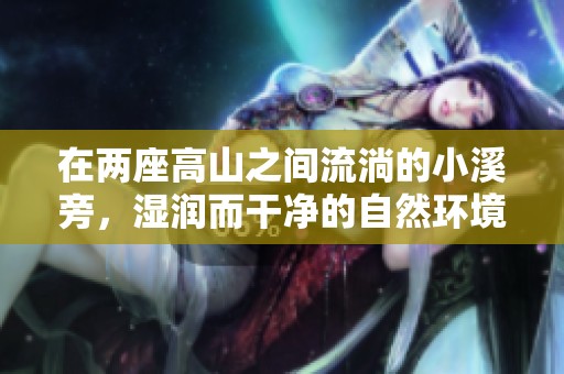 在两座高山之间流淌的小溪旁，湿润而干净的自然环境探秘