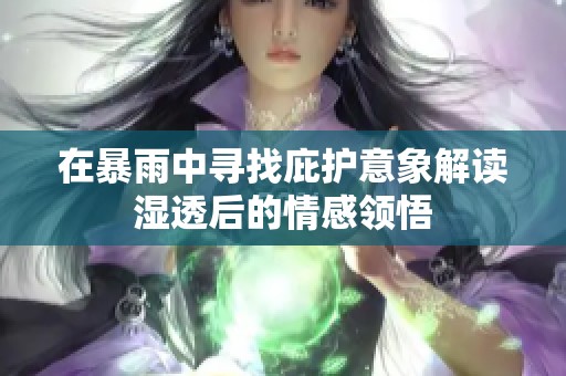 在暴雨中寻找庇护意象解读湿透后的情感领悟