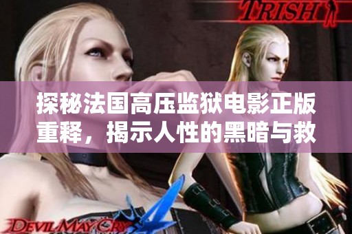 探秘法国高压监狱电影正版重释，揭示人性的黑暗与救赎之路