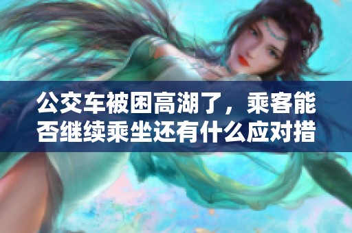 公交车被困高湖了，乘客能否继续乘坐还有什么应对措施吗