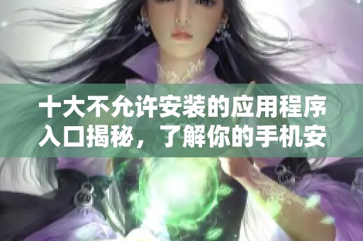 十大不允许安装的应用程序入口揭秘，了解你的手机安全风险