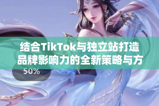 结合TikTok与独立站打造品牌影响力的全新策略与方法