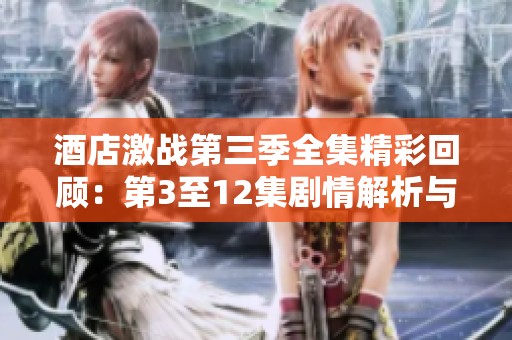 酒店激战第三季全集精彩回顾：第3至12集剧情解析与播放指南