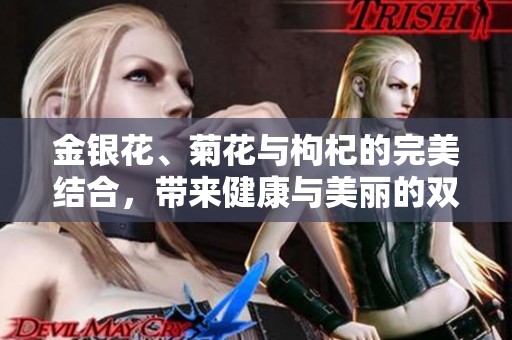 金银花、菊花与枸杞的完美结合，带来健康与美丽的双重体验