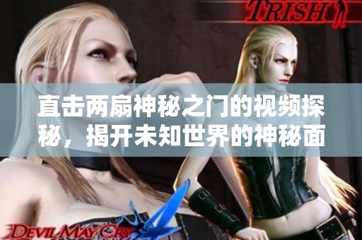 直击两扇神秘之门的视频探秘，揭开未知世界的神秘面纱