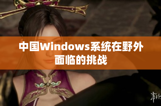 中国Windows系统在野外面临的挑战