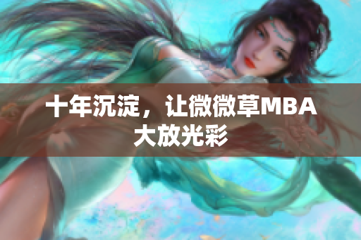 十年沉淀，让微微草MBA大放光彩